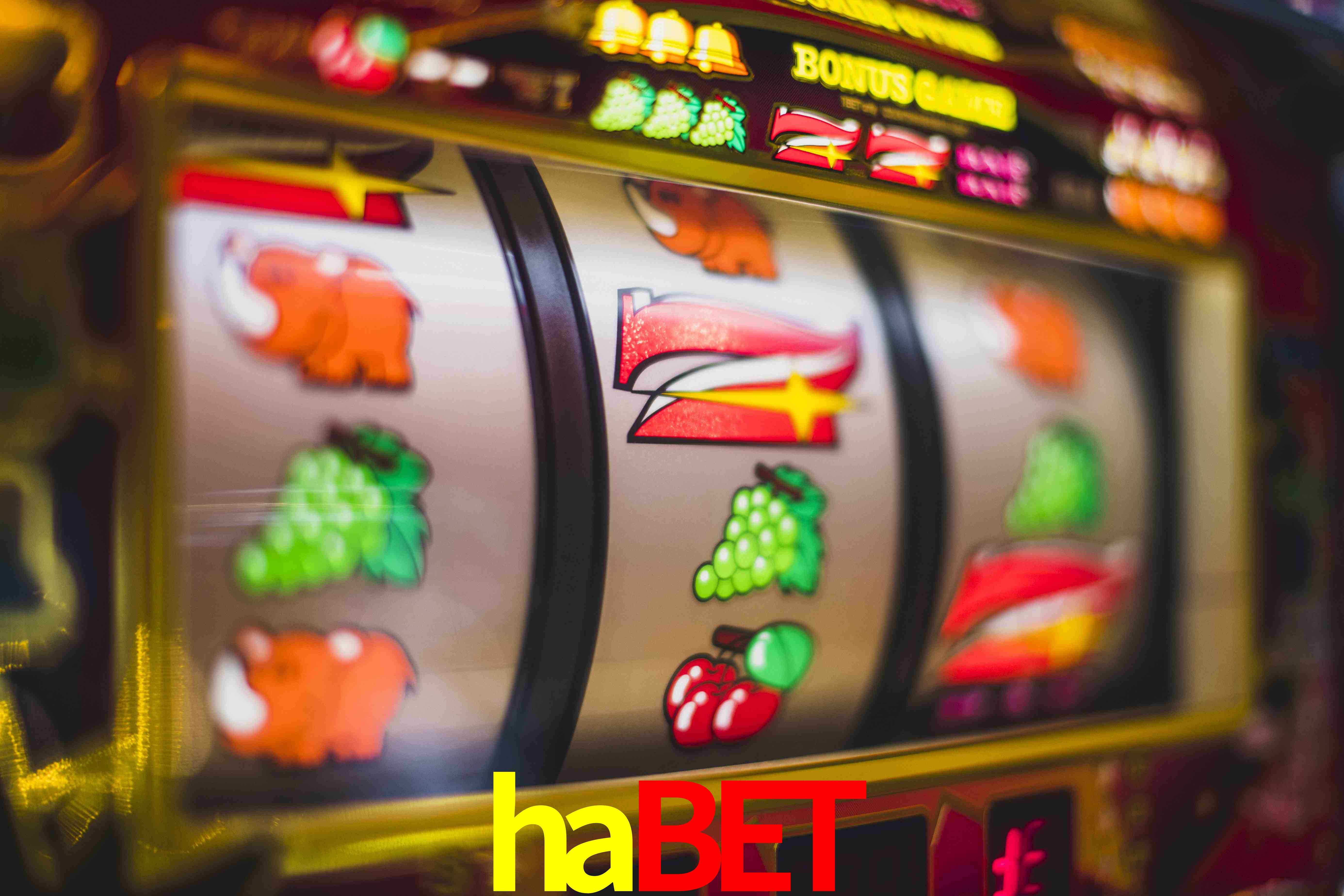 Football Betting habet